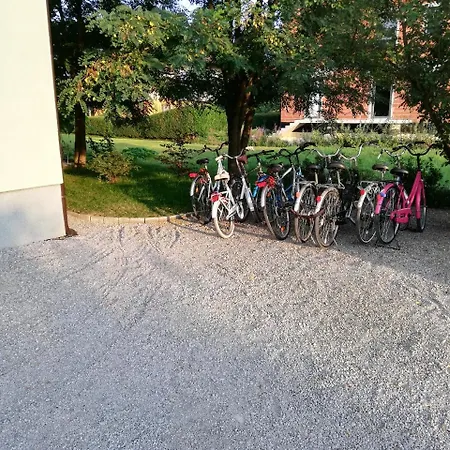 Seasons - * Ljubljana